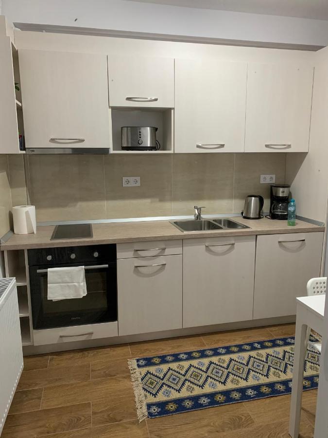 Welcoming Gemini Apartment 1 Sibiu Bagian luar foto